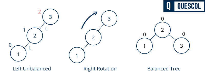 AVL tree right rotation