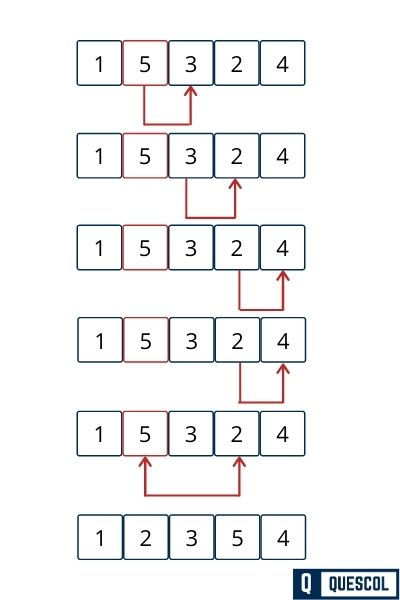 Selection Sort program